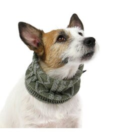 PET PARADISE ペットパラダイス 反射スヌード 《カーキー》 小型犬