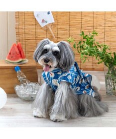 PET PARADISE ペットパラダイス 甚平 《しじら織り風》 小型犬