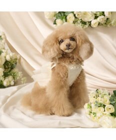 PET PARADISE cherircouture チュールビスチェ 小型犬