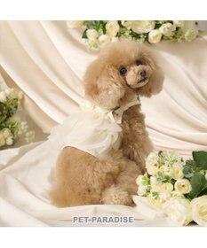PET PARADISE cherircouture チュールビスチェ 小型犬