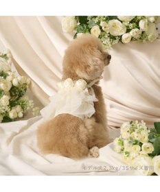 PET PARADISE cherircouture チュールビスチェ 小型犬