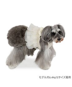 PET PARADISE cherircouture チュールビスチェ 小型犬