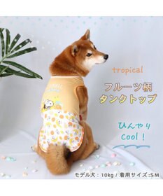 PET PARADISE 犬の服 春夏 ひんやり クール メッシュ 接触冷感 虫よけ スヌーピー フルーツ柄 タンクトップ 【中型犬】  クールマックスエコメイド