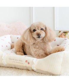 PET PARADISE ペットパラダイス カドラー 《花苺柄》 Ｍ