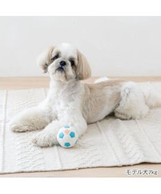 PET PARADISE ペットパラダイス サッカーボール 小
