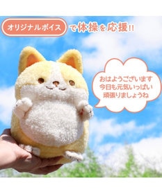 Mother garden マザーガーデン 一緒に体操!元気なコーギーちゃん