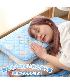 Mother garden しろたん クール 枕パッド 《みんなのすきなもの柄》