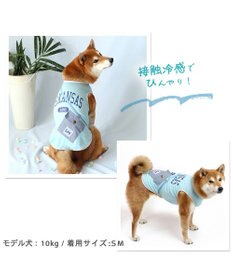 PET PARADISE Leeポーチ ブルー Tシャツ 【中型犬】【大型犬】クールマックスエコメイド