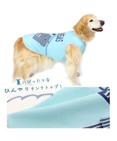 PET PARADISE Leeポーチ ブルー Tシャツ 【中型犬】【大型犬】クールマックスエコメイド
