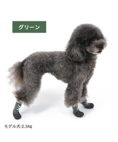 PET PARADISE ペットパラダイス フィットシューズ 【3S】 グリーン ブラウン