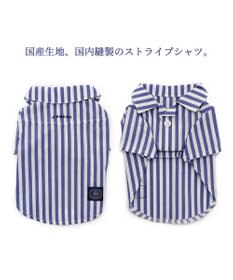 PET PARADISE 犬の服 犬 J.PRESS ストライプシャツ  【小型犬】