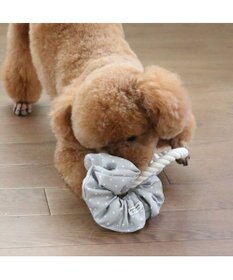 PET PARADISE ペットパラダイス 引っ張り シュシュ トイ  《 花柄 / ドット柄 》