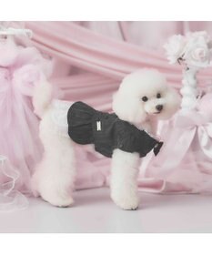 PET PARADISE cherircouture ジャケットワンピース 小型犬