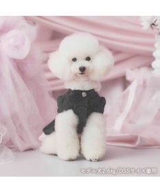 PET PARADISE cherircouture ジャケットワンピース 小型犬
