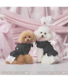 PET PARADISE cherircouture ジャケットワンピース 小型犬