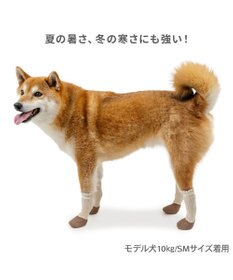 PET PARADISE ペットパラダイス フリル フィット靴 ＳＭ