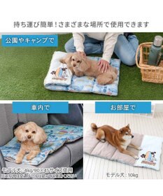 PET PARADISE スヌーピー クール ロールマット 《サーフ柄》 Ｌ