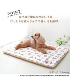 PET PARADISE ミニオン もちっと クールマット防臭