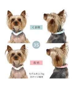 PET PARADISE ペットパラダイス 28℃クールリング SUO 《いちご》 〔3S〕 小型犬