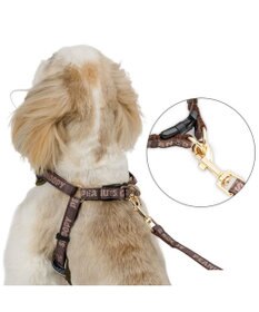 PET PARADISE スヌーピー ハーネス＆リード 《ワッペン柄》 ＳＳ 小型犬