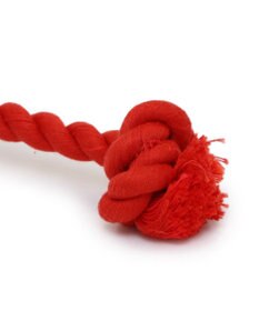 PET PARADISE ディズニー 101匹わんちゃん ロープ トイ