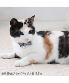 PET PARADISE ペットパラダイス 猫 首輪 ギンガムチェック 《ブラック》 小サイズ/中サイズ