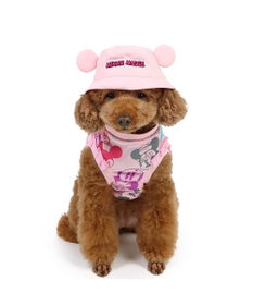 PET PARADISE ディズニー ミニーマウス バケットハット付き Tシャツ 小型犬