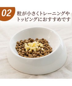 PET PARADISE ミニトリーツ チーズ 国産