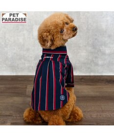 PET PARADISE J.PRESS レジメンタル シャツ 小型犬
