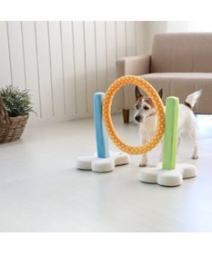 PET PARADISE 犬 トイ TOY ペットパラダイス アジリティ セット 訓練 ドッグアジリティ トレーニング