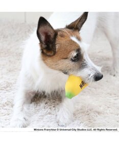 PET PARADISE ミニオン バナナ ラテックス トイ