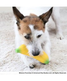 PET PARADISE ミニオン バナナ ラテックス トイ