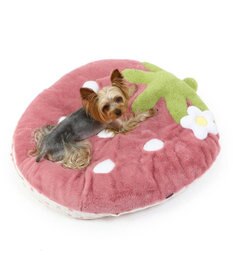 PET PARADISE ネット店限定  くすみ苺 クッション (70×71cm)  小型犬