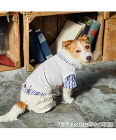 PET PARADISE ペットパラダイス ベスト パンツつなぎ 《ホワイト》 小型犬