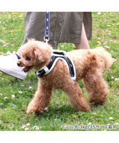 PET PARADISE Lee  ポケットハーネス ３Ｓ 小型犬