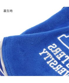 PET PARADISE ディズニー モンスターズユニバーシティ スタジャン 《マイク》 小型犬