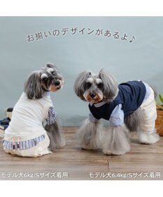 PET PARADISE ペットパラダイス ベスト パンツつなぎ 《ネイビー》 小型犬