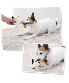 PET PARADISE スヌーピー  流れ星トイ  小型犬
