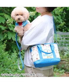 PET PARADISE ディズニー ドナルドダック 90周年 お散歩バッグ 《パーティ柄》