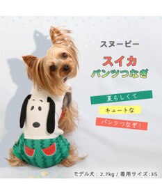 PET PARADISE 犬の服 春夏 ひんやり クール 接触冷感 虫よけ スヌーピー スイカ柄 パンツ つなぎ 【小型犬】