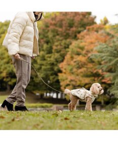 PET PARADISE ペットパラダイス くまちゃん アウターハーネス 小型犬