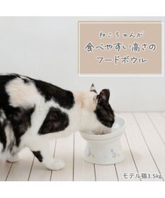 PET PARADISE ペットパラダイス 猫 高さのあるえさ皿 《あひる》