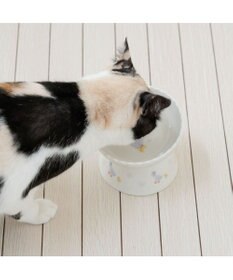 PET PARADISE ペットパラダイス 猫 高さのあるえさ皿 《あひる》