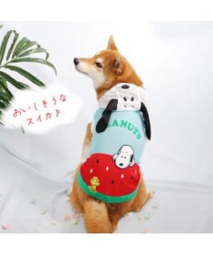 PET PARADISE 犬の服 春夏 スヌーピー スイカ柄 メッシュ パーカー【中型犬】
