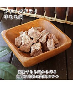 PET PARADISE プレミアムフード フリーズドライ 牛もも肉 18g