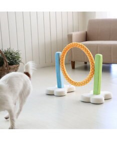 PET PARADISE 犬 トイ TOY ペットパラダイス アジリティ セット 訓練 ドッグアジリティ トレーニング