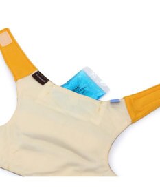 PET PARADISE ペットパラダイス  はちクールベスト 小型犬