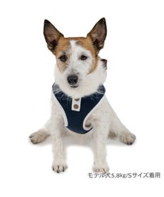 PET PARADISE ペットパラダイス ライン入りリュック付き ハーネス ＳＳ 小型犬
