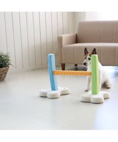 PET PARADISE 犬 トイ TOY ペットパラダイス アジリティ セット 訓練 ドッグアジリティ トレーニング