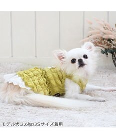 ペットパラダイス ぽこぽこ ワンピース 《イエロー》 小型犬, イエロー, ４Ｓ